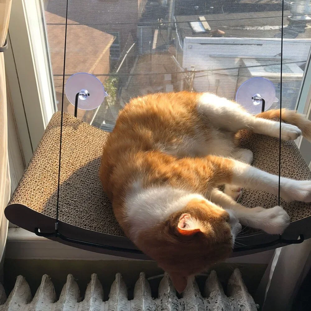 K&H Pet Products EZ Mount Window Kitty Sill Cradle Frame